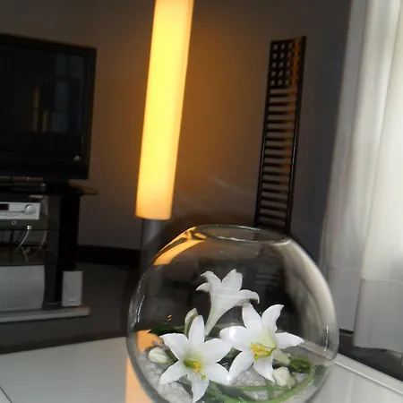 Hotel Anoeta Ξενοδοχείο