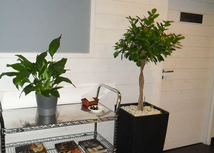 ホテル アノエタ 3*