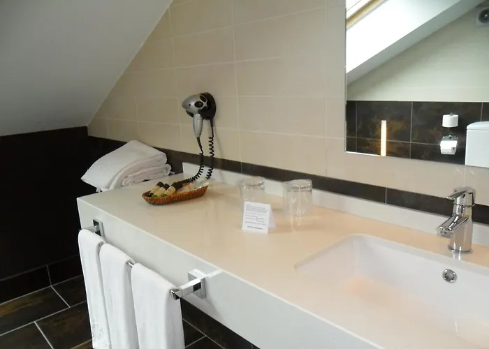 Anoeta سان سيباستيان